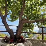 Casa Adele Pogerola * Αμάλφι